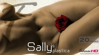 Sally's Plastica