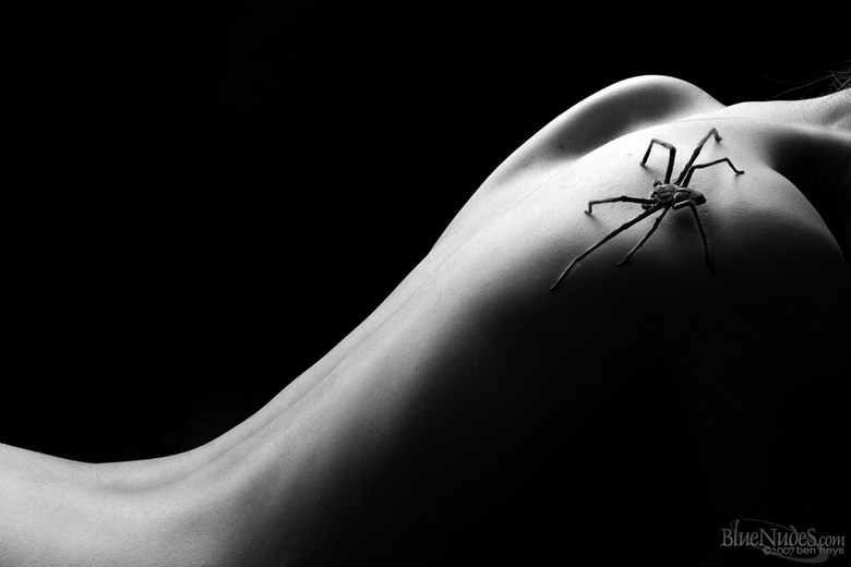 Kessie - Spider Woman