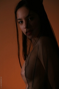 Leone - Black Fog