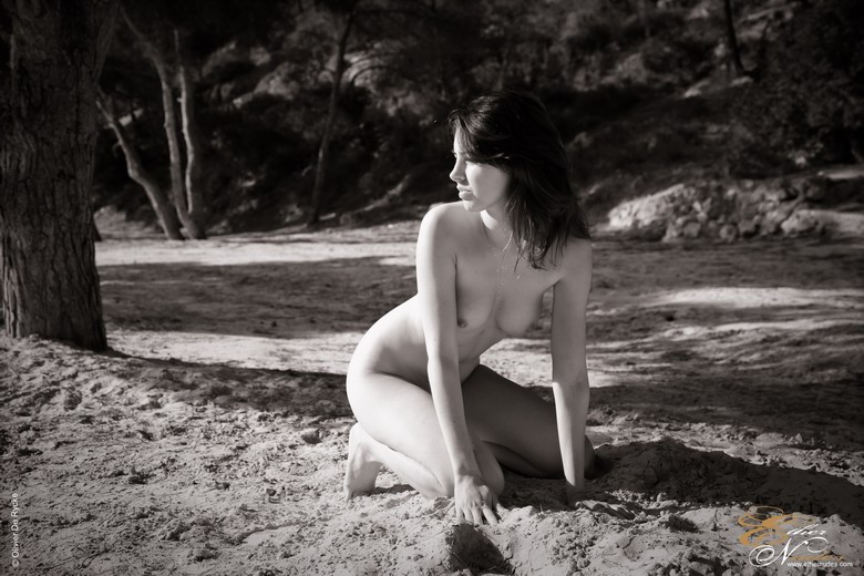 Eva - Pine Beach