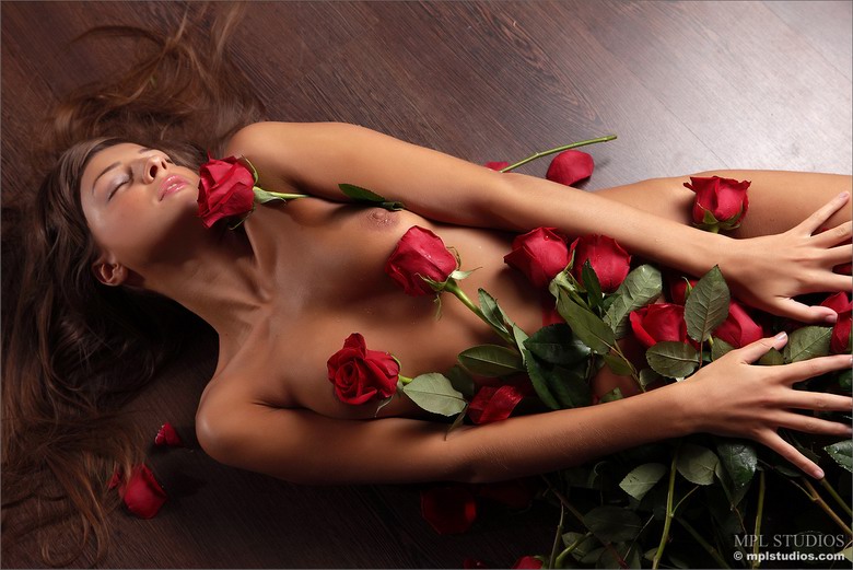 Tara - Rosey