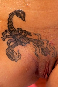 Scorpion